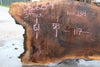 Oregon Black Walnut Slab 050623-04