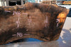 Oregon Black Walnut Slab 051323-01