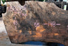 Oregon Black Walnut Slab 051323-03