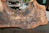 Oregon Black Walnut Slab 051323-04