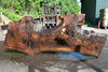 Oregon Black Walnut Slab 051323-04