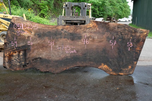 Oregon Black Walnut Slab 051323-05