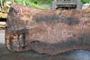 Oregon Black Walnut Slab 051323-05