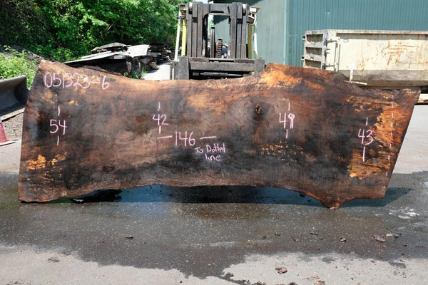 Oregon Black Walnut Slab 051323-06