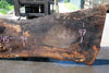 Oregon Black Walnut Slab 051323-07