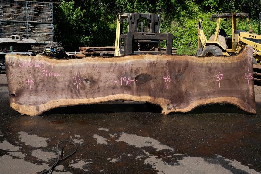 Oregon Black Walnut Slab 060123-01