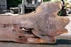 Oregon Black Walnut Slab 070123-01