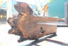 Oregon Black Walnut Slab 070123-01