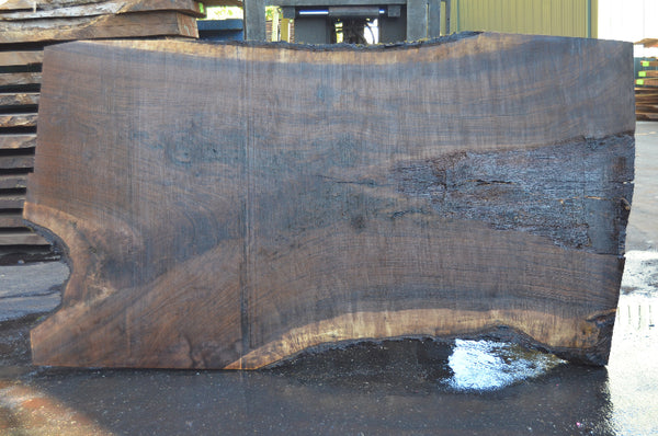Oregon Black Walnut Slab 091121-02