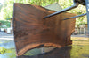 Oregon Black Walnut Slab 091121-02