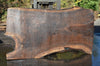Oregon Black Walnut Slab 091121-02