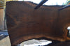 Oregon Black Walnut Slab 091121-02