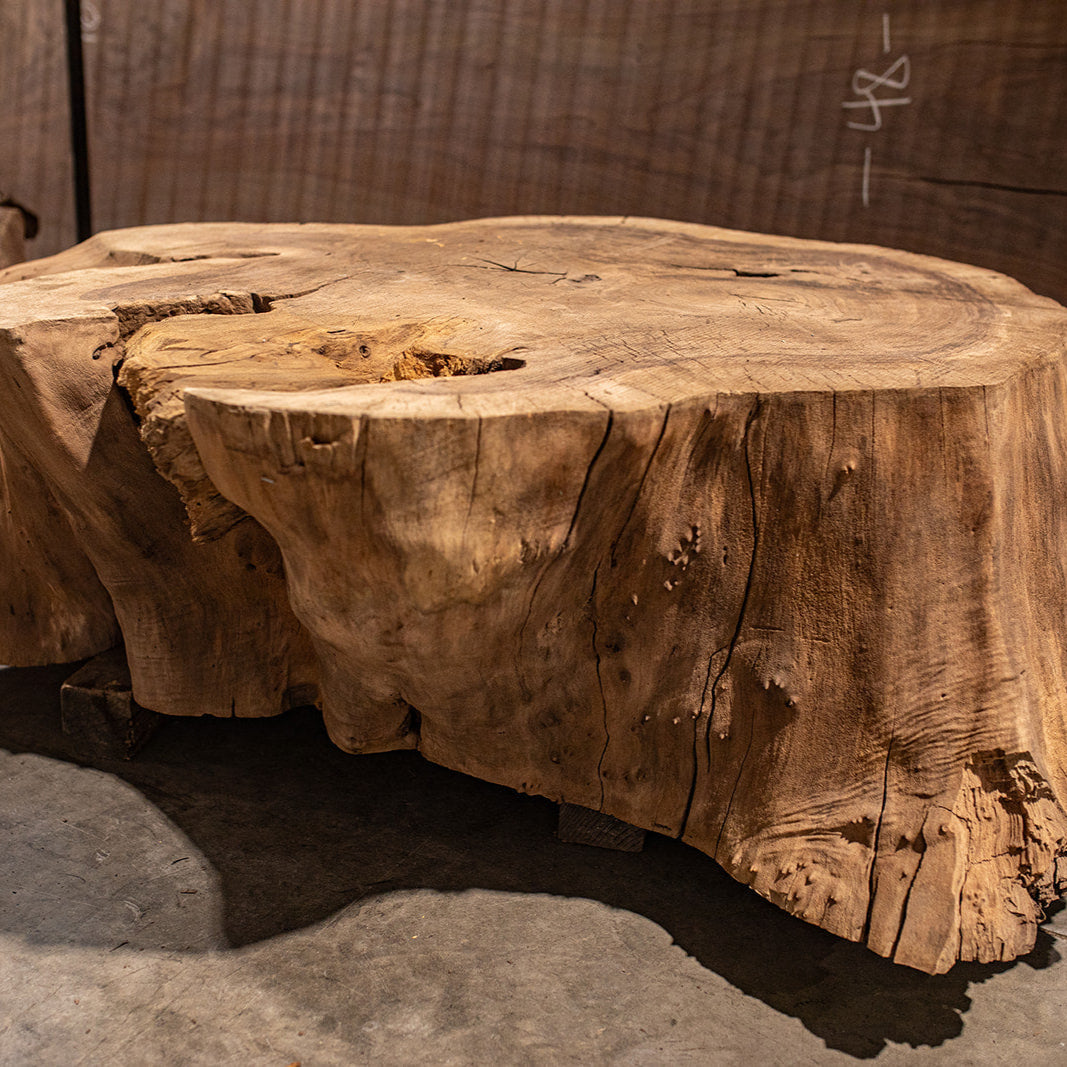 Oregon Black Walnut Block C006