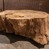 Oregon Black Walnut Block C006