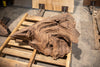 Oregon Black Walnut Block C007