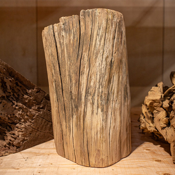 Madrone Stump C001