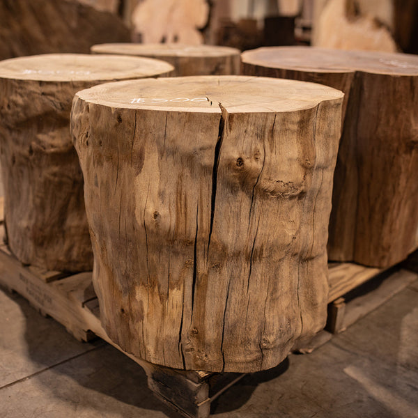 Oregon White Oak Block C016