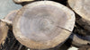 Oregon Black Walnut Round Pack Medium Large (2)