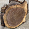 Oregon Black Walnut Round Pack Medium Large (2)