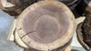 Oregon Black Walnut Round Pack Medium Large (2)