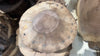 Oregon Black Walnut Round Pack Medium Large (2)