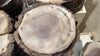 Oregon Black Walnut Round Pack Medium Large (2)