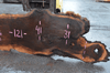 Oregon Black Walnut Slab 010220-01