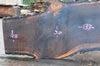 Oregon Black Walnut Slab 010715-02