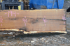 012719-02 Oregon White Oak Slab