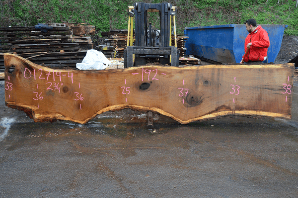 012719-04 Oregon White Oak Slab