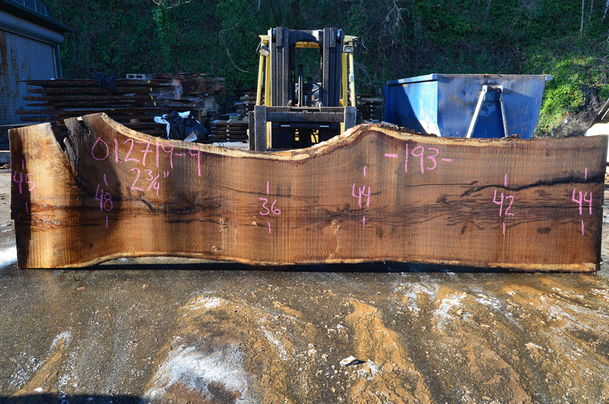 012719-09 Oregon White Oak Slab