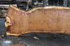 012819-02 Oregon White Oak Slab