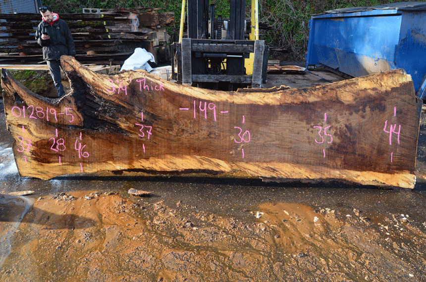 012819-05 Oregon White Oak Slab