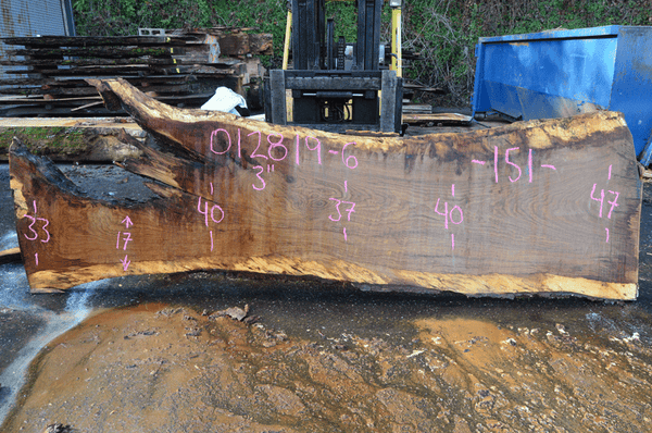 012819-06 Oregon White Oak Slab