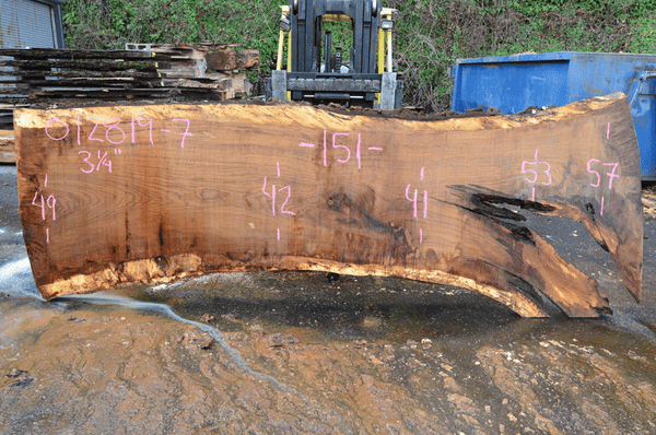 012819-07 Oregon White Oak Slab