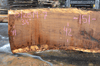 012819-07 Oregon White Oak Slab