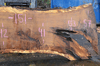 012819-07 Oregon White Oak Slab