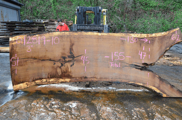 012819-10 Oregon White Oak Slab