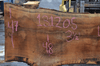 Oregon White Oak Slab 013120-05