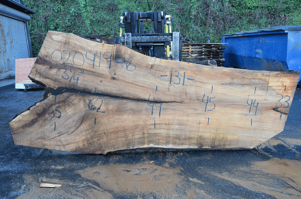 020419-06 Big Leaf Maple Slab