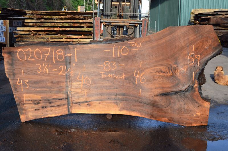 Elm Slab 020718-01