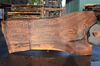 Elm Slab 020718-01