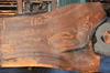 Elm Slab 020718-01