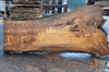 Elm Slab 020718-08