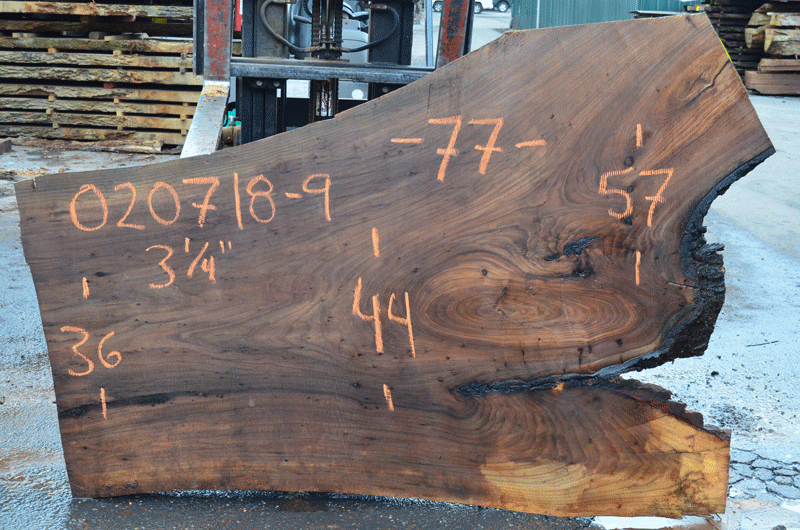 Elm Slab 020718-09