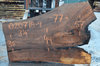 Elm Slab 020718-09