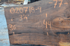 Elm Slab 020718-09