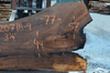 Elm Slab 020718-09