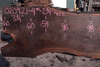 Oregon Black Walnut Slab 020921-04