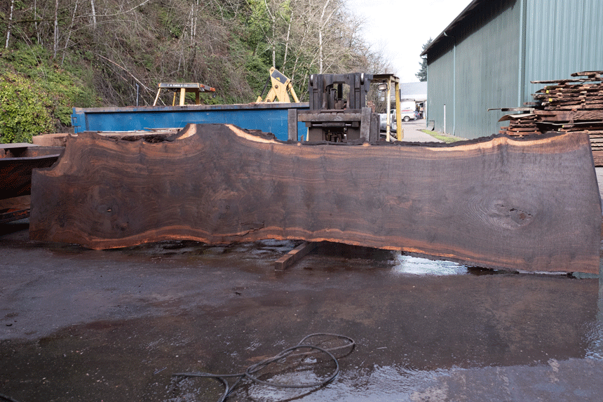 Oregon Black Walnut Slab 020921-08